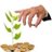 T_W_Investor
