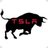 TeslaToro