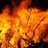 Thatflame_boy