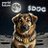 Tuga_Dog2000