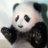 Varunmichael_