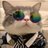 Vorpal_Kitty