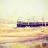 WeAreVasai