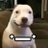 XdWenito