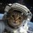 _CatInTheVoid
