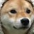 _the_doge