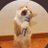 abhay_singh77