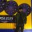 aditya_3346