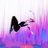 aimee_33x