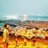 amar_gupta6399