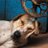 amit_ydv055