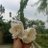 banasmita_k