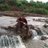 behera_brahma