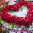 biplab_kumar95