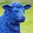 bluesheep100