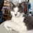 catzandcookiez