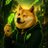 doge__rh
