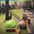 duc_202