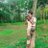 dvimal27