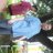 eggers_james