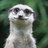 entha_nokune