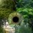 farhan4128