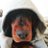 gimpmask666