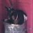 goattrash