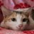 himansh_hr