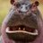hippoincrisis