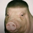 hunter_boden