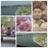 iam_pramod_shah