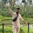 iamshardulkumar