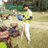 itstime2rv_