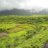 jiggerthakker