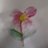kgoyal_26