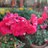 kkc_Delhi_6