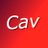 lilcav6691