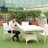 lokyrajput8806