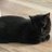 marver_wen62435