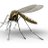 mosquitoncrisis