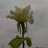 navid_5500