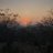 nitish__pandit
