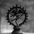 pandeyshashank_