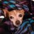 peanut737035086