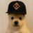 pupXbnb