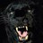 ramesh_tgo