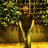 ranjan_sharma72