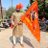 rohitpalkhe1