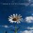 roshansinha_41